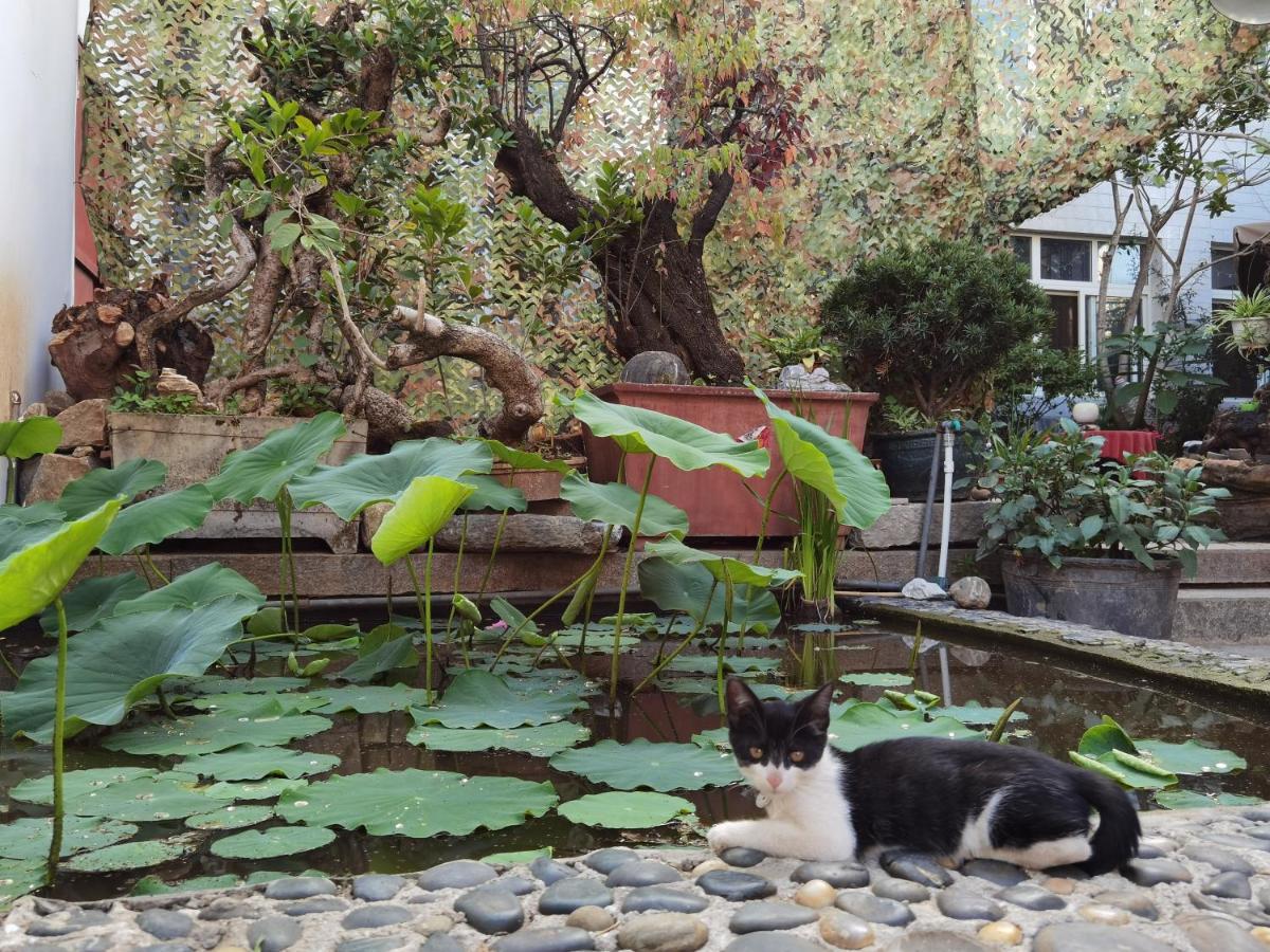The Lily Pad Inn Dali  Buitenkant foto