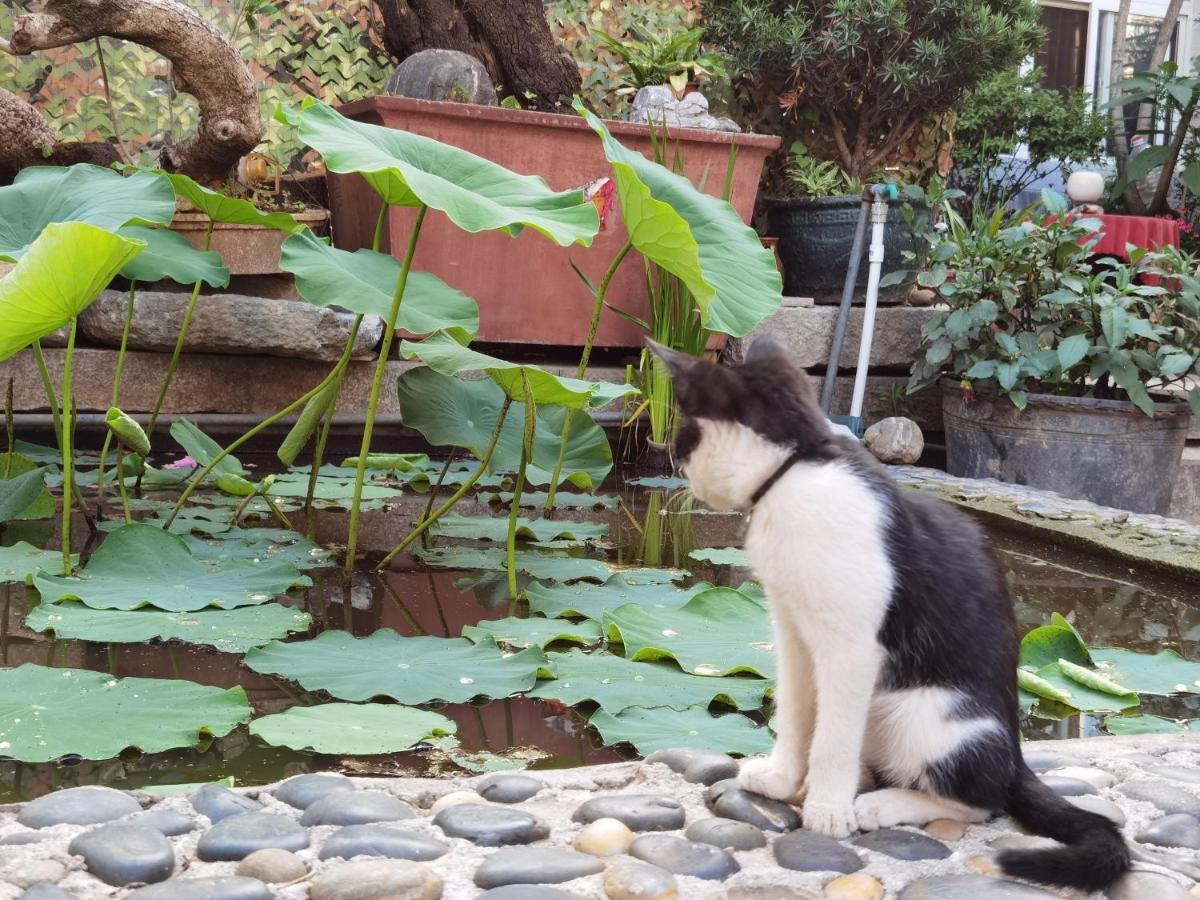 The Lily Pad Inn Dali  Buitenkant foto