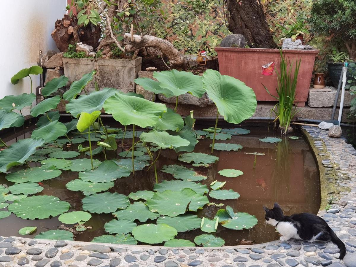 The Lily Pad Inn Dali  Buitenkant foto