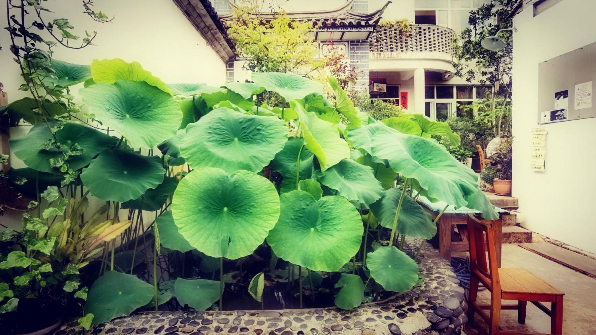 The Lily Pad Inn Dali  Buitenkant foto