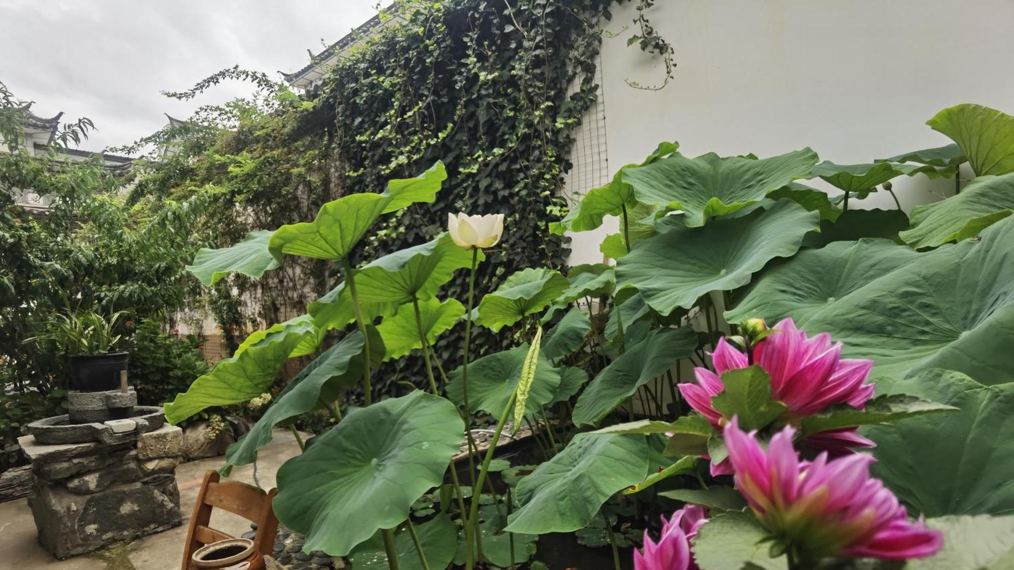 The Lily Pad Inn Dali  Buitenkant foto